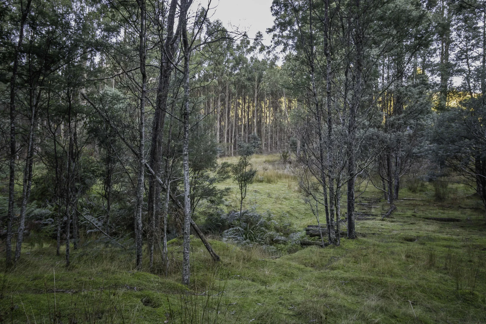 Additional image 28 of Judbury TAS 7109