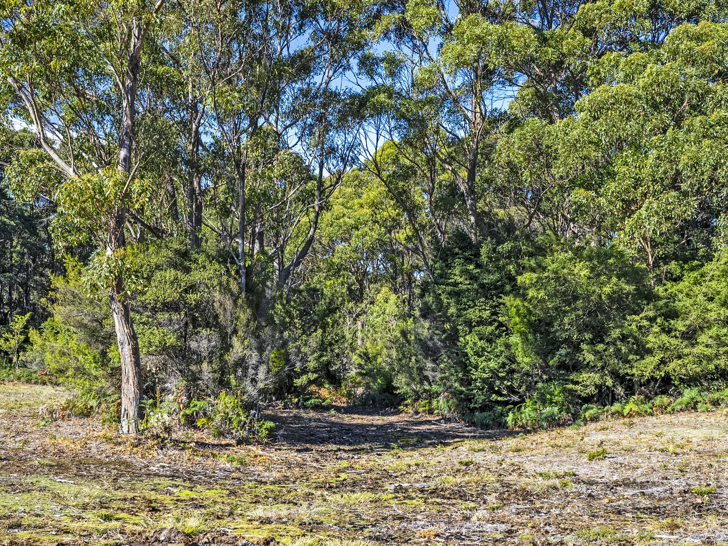 Additional image 39 of 312 Lookout Road, Port Arthur TAS 7182