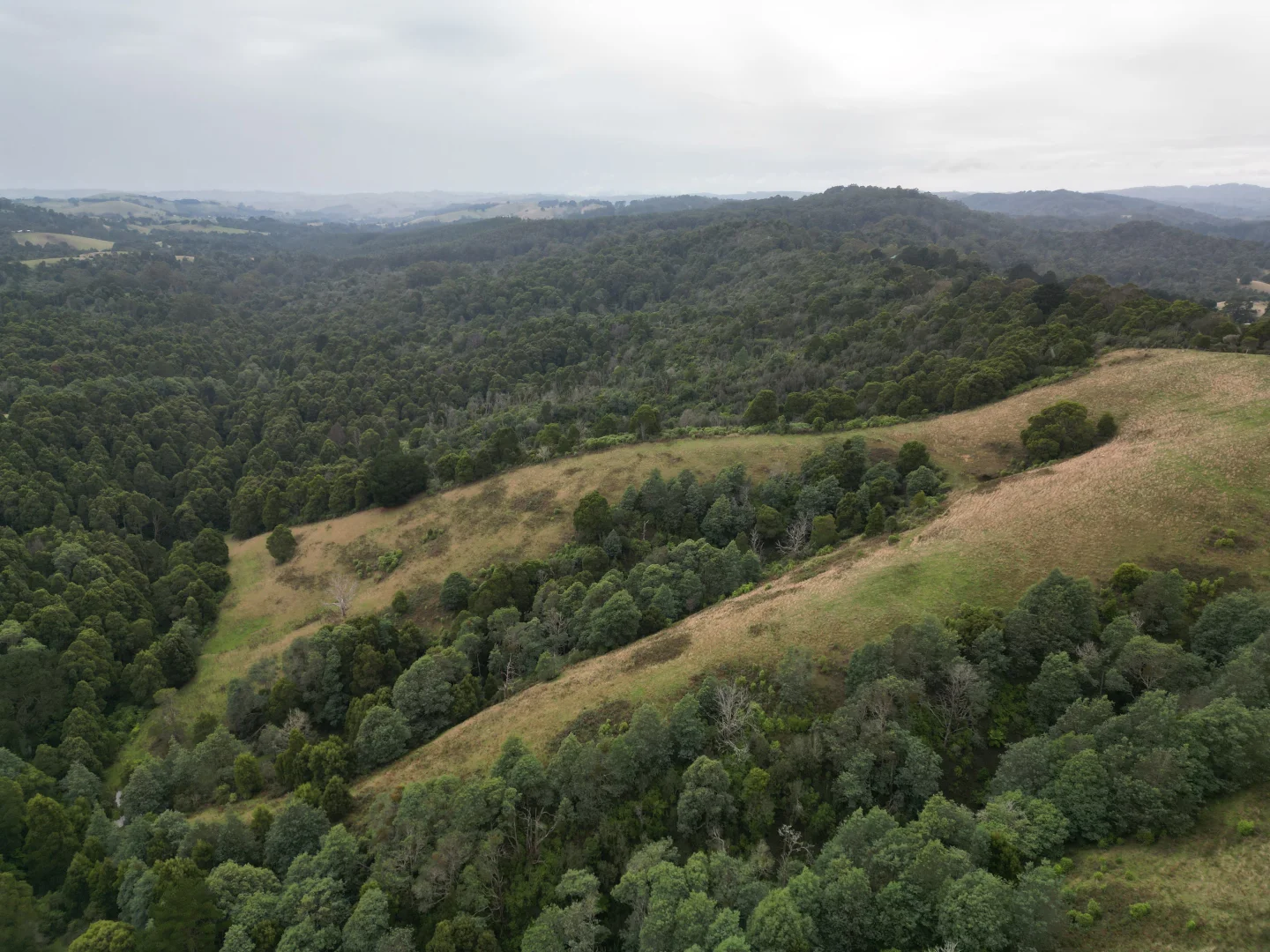 Additional image 6 of 478 Foster-Mirboo Road, Dollar VIC 3871