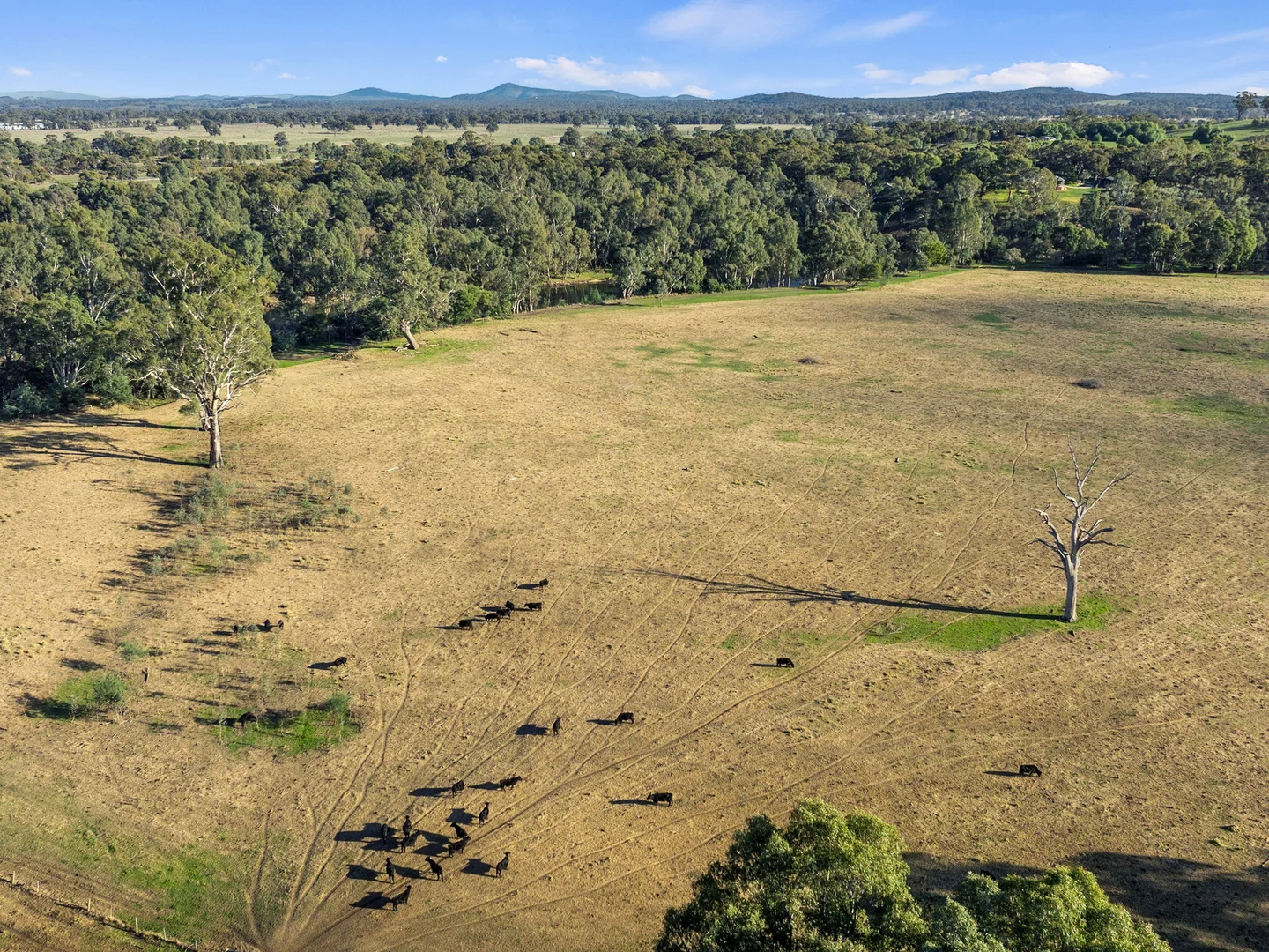 Additional image 4 of 1 Tierney Street, Seymour VIC 3660