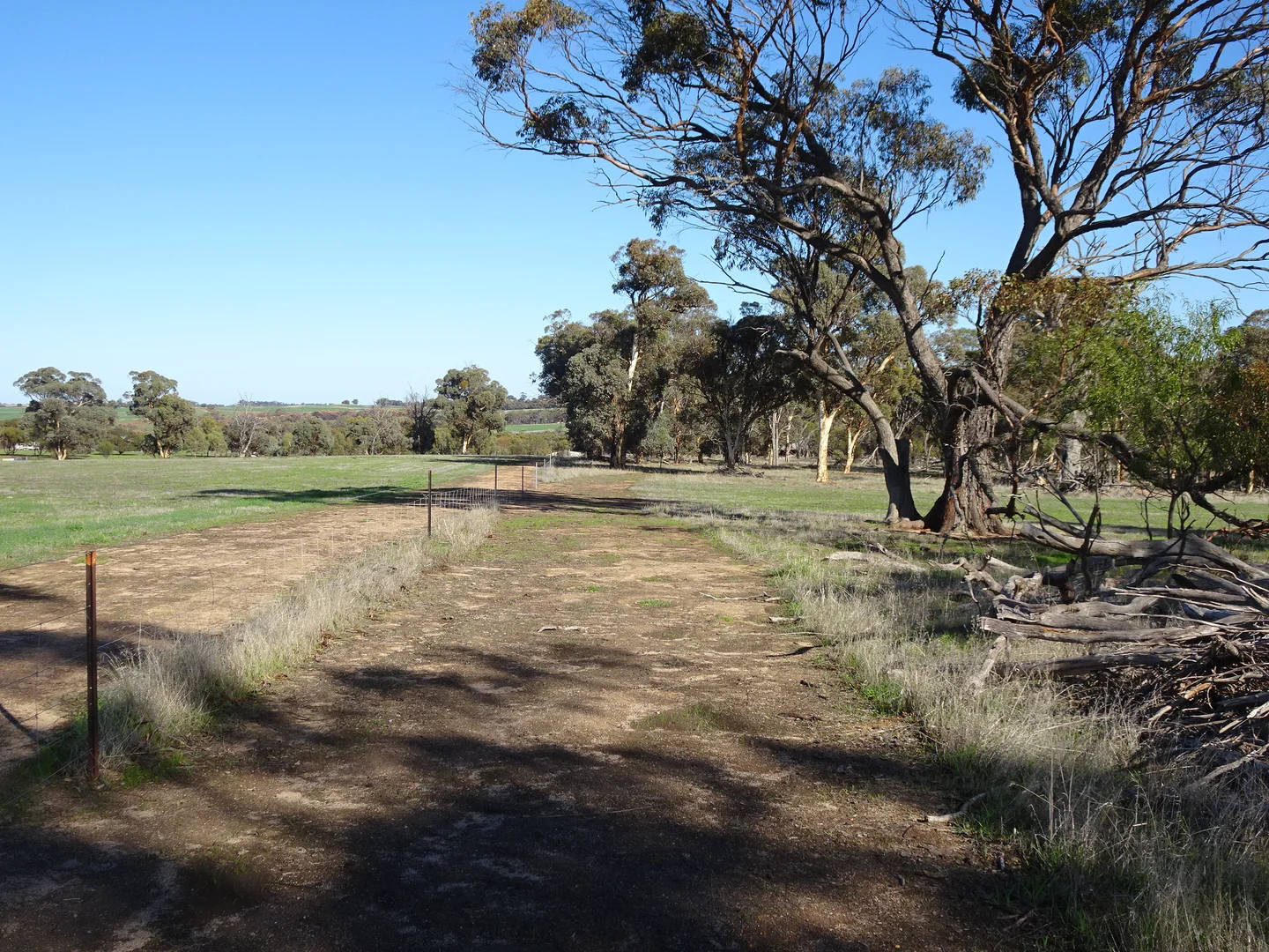 Additional image 33 of Shaddick Road, East Pingelly WA 6308