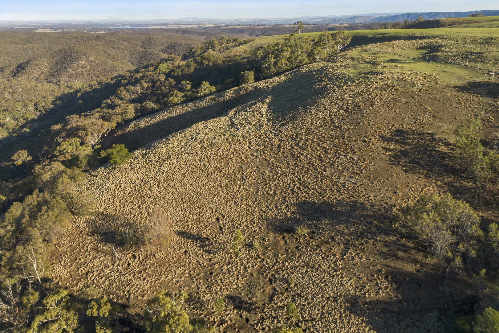 Additional image 12 of CA 22D & 22E Spotiswood Road, Bullengarook VIC 3437