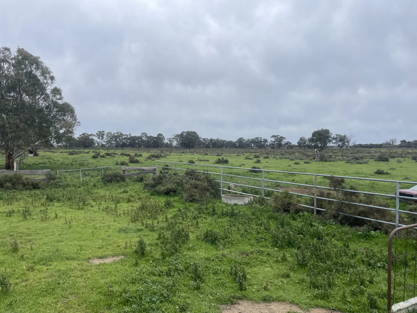 Additional image 20 of 'Yileen' 4371 Moulamein Road, Tullakool NSW 2732