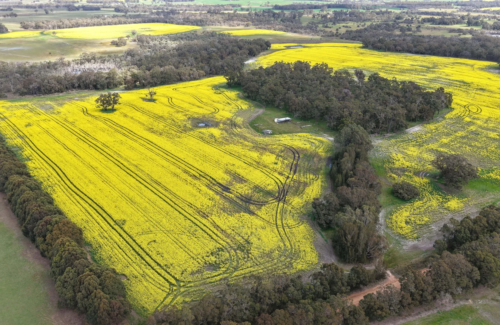 Additional image 14 of 171 Kwornicup Road, Forest Hill WA 6324