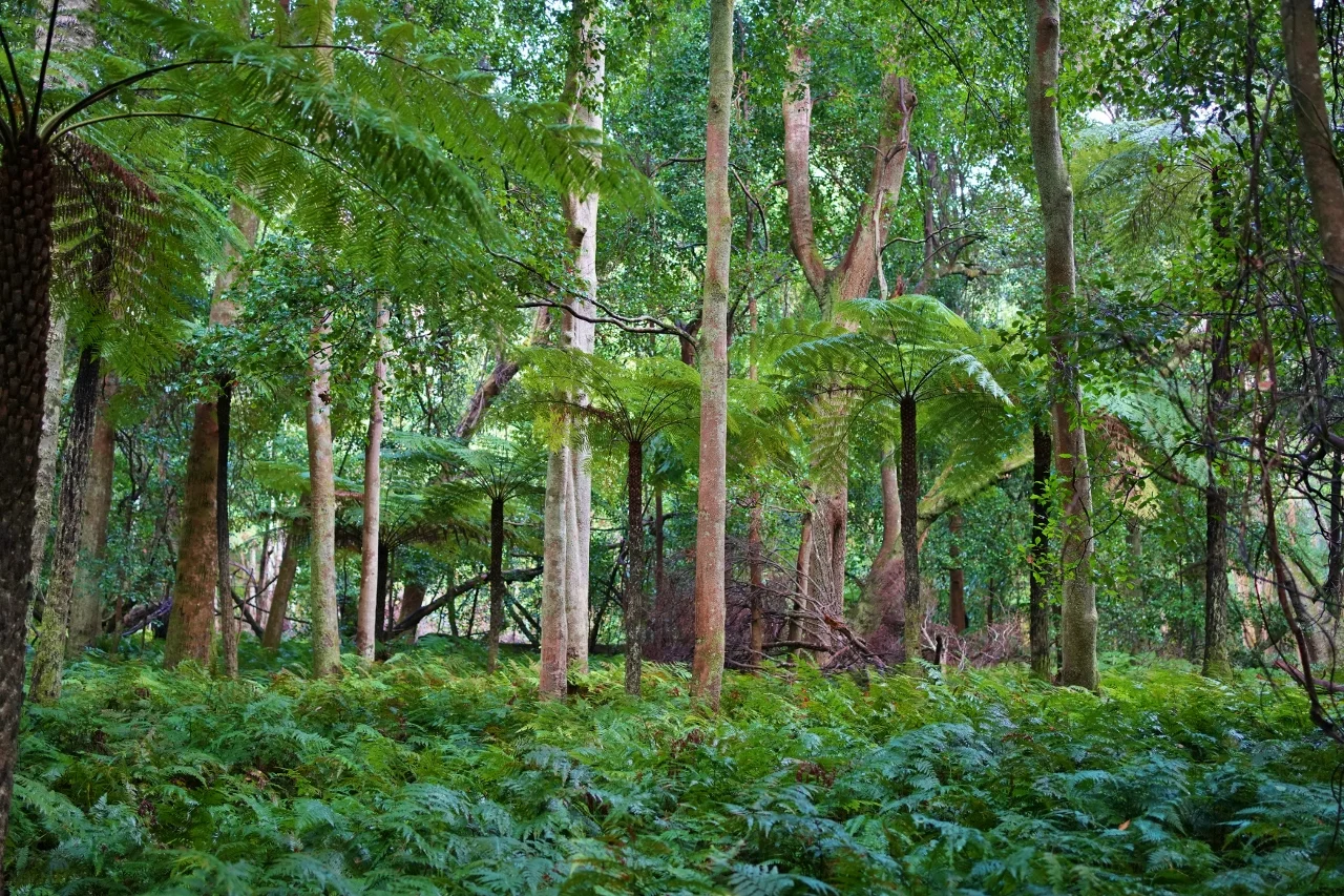 Additional image 24 of 59B Burgess Track, Wallagaraugh, Genoa VIC 3891