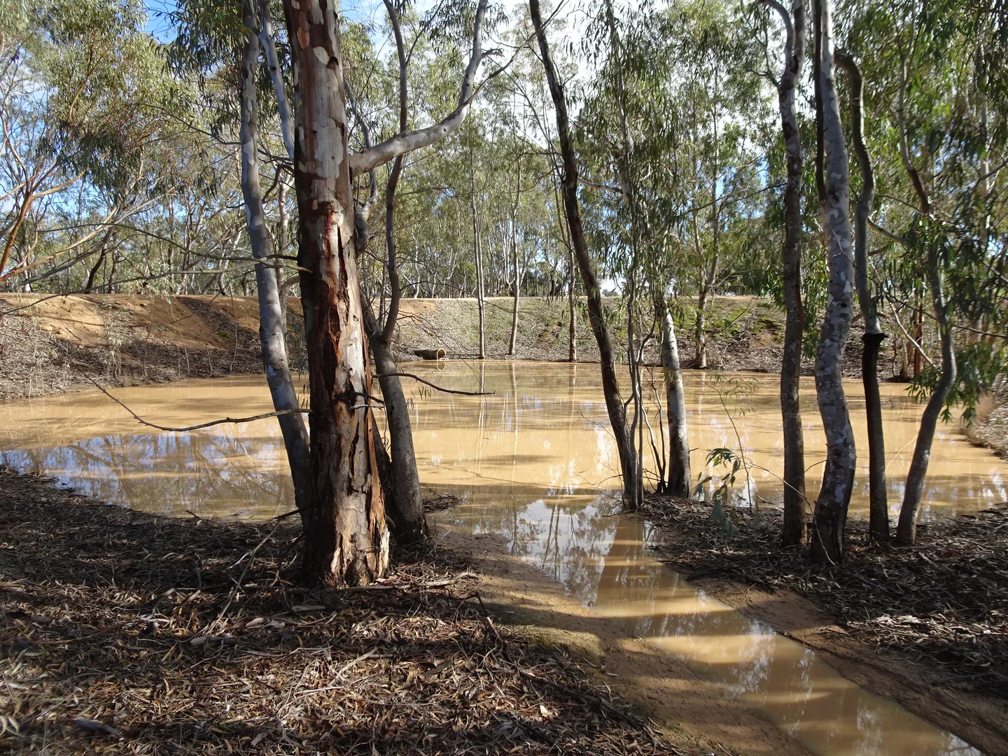 Additional image 2 of Shaddick Road, East Pingelly WA 6308