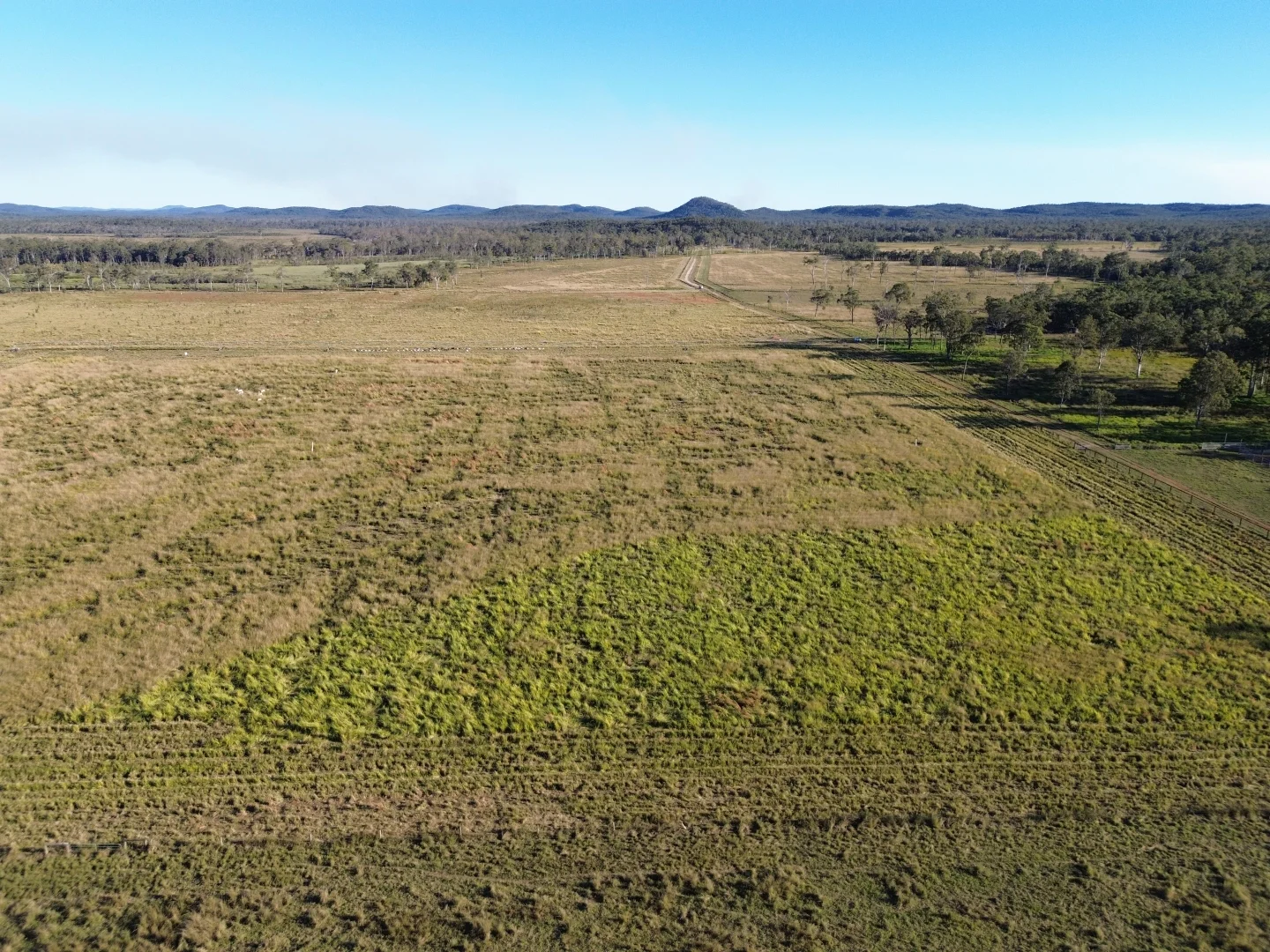 Additional image 13 of Innot Hot Springs QLD 4872