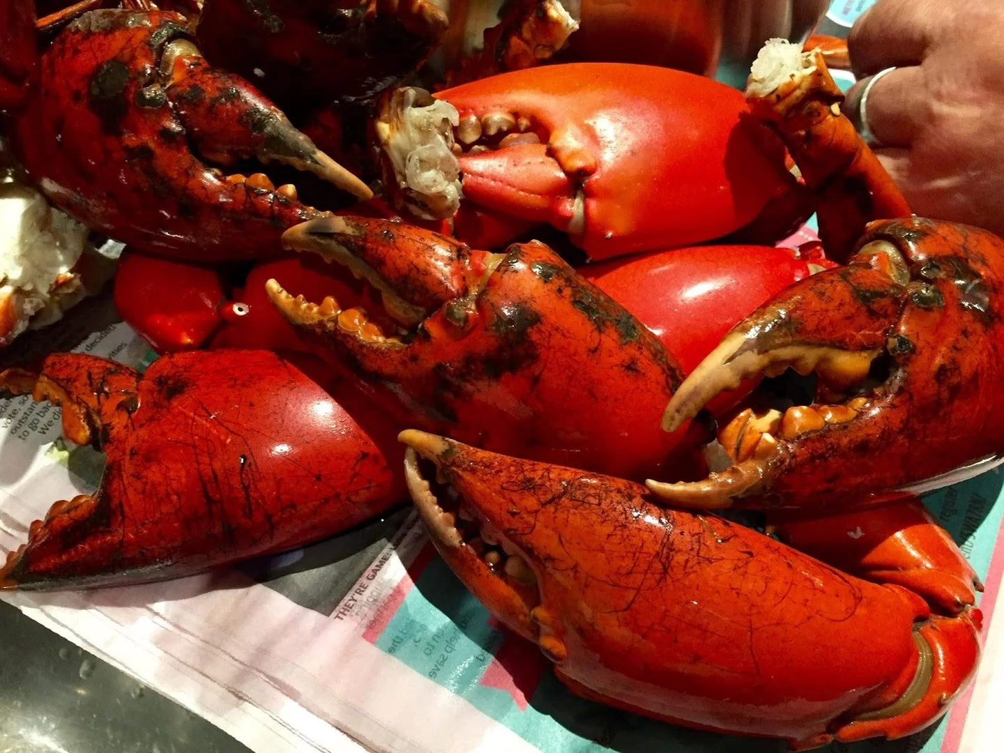 Additional image 4 of 18-20 Dagmar Street, Daintree QLD 4873