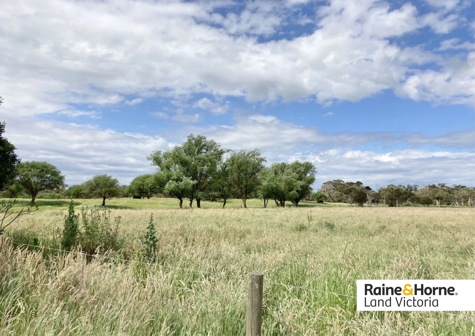 Additional image 4 of 150 Boundary Road, Dromana VIC 3936