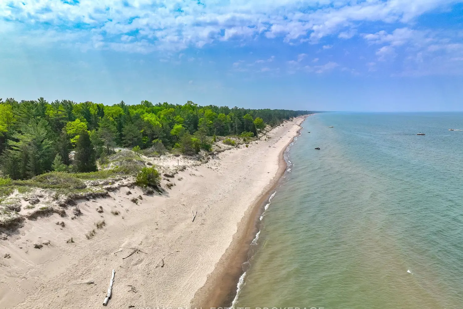 Additional image 4 of 10219 Pinetree Drive