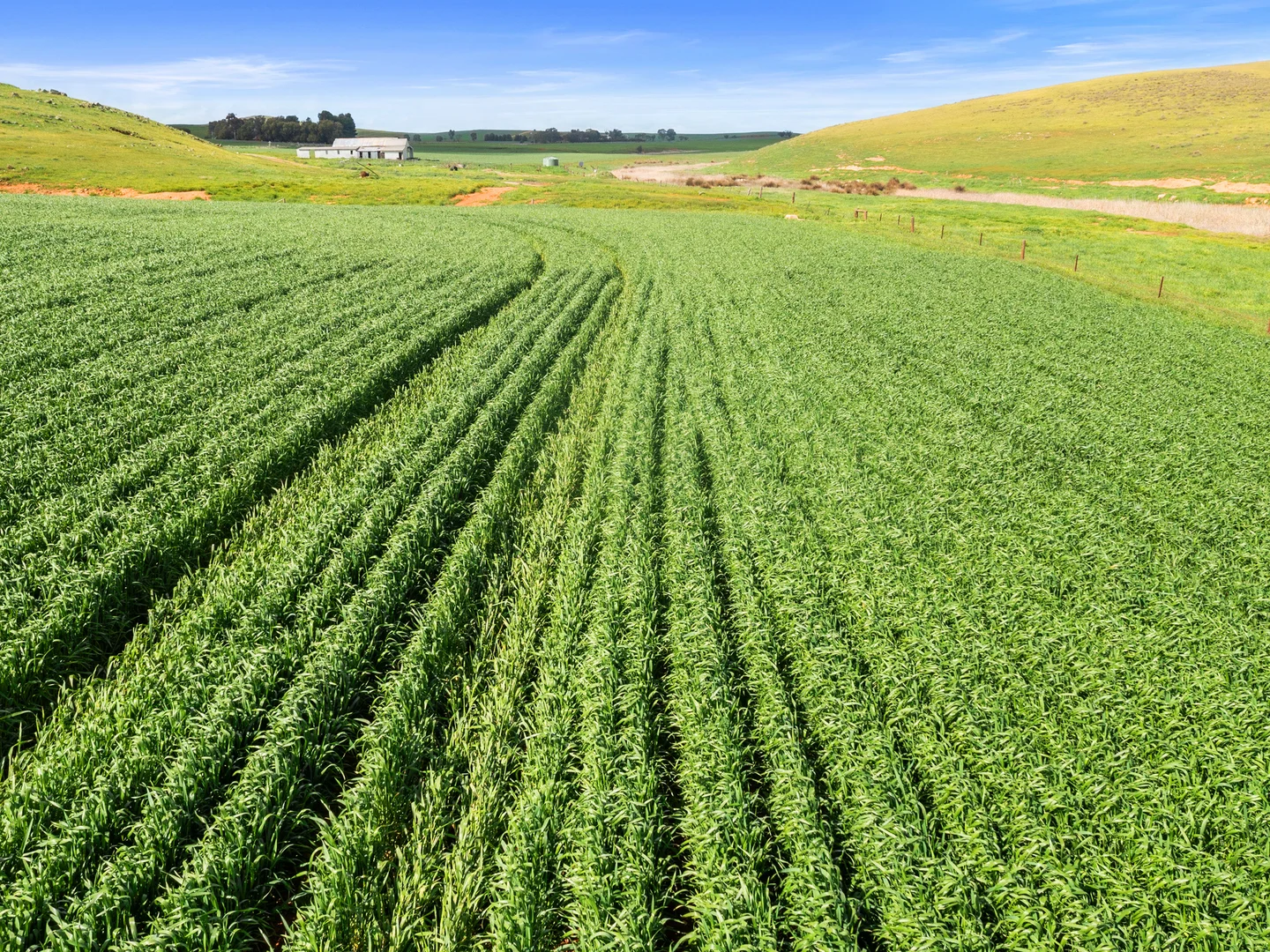 Additional image 4 of 2489 R M Williams Way, Spalding SA 5454