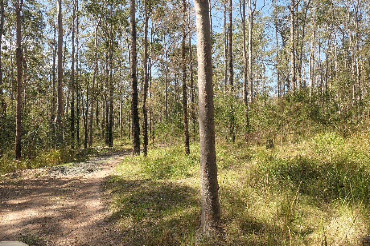 Additional image 27 of Lot 5 Long Gully Road, Drake NSW 2469