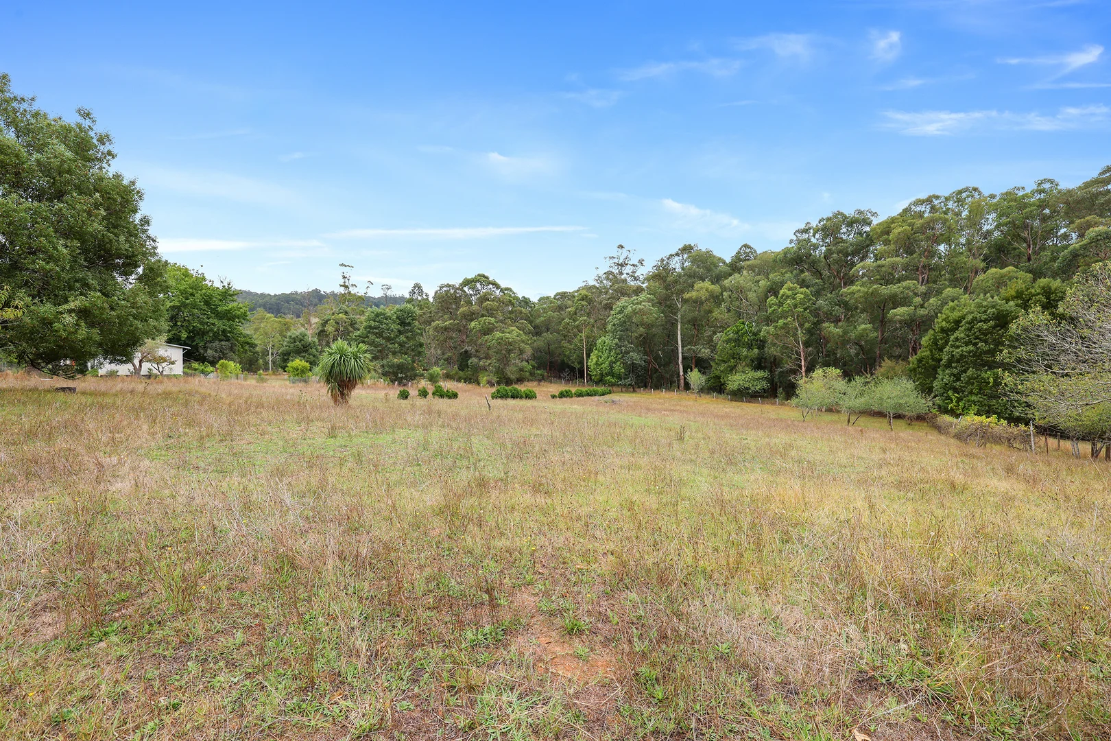 Additional image 4 of 102 School Road, Noojee VIC 3833