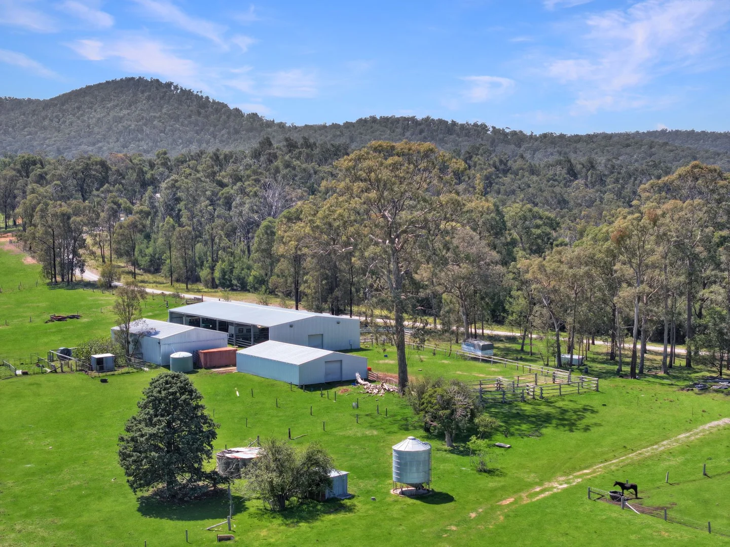 Additional image 25 of 151 Wattle Hill Road, Buchan South VIC 3885