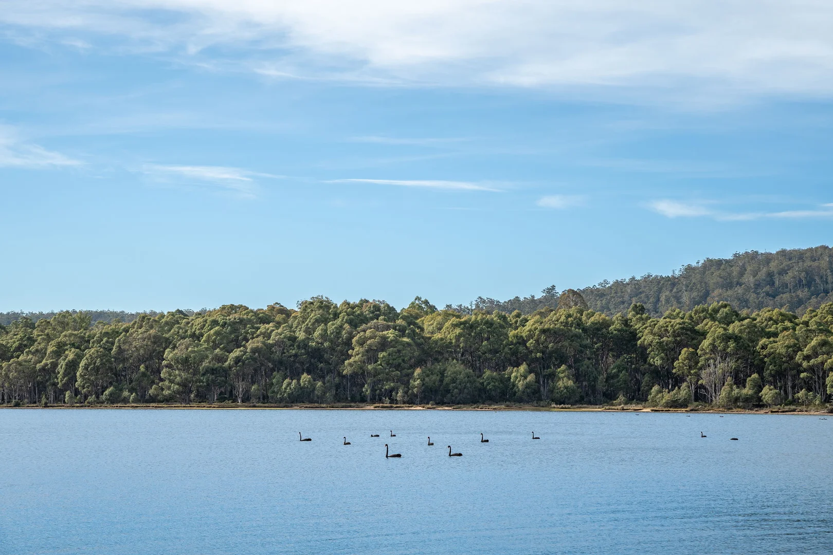 Additional image 5 of 1 & 2/172 Woodwards Bay Road, Bradys Lake TAS 7140