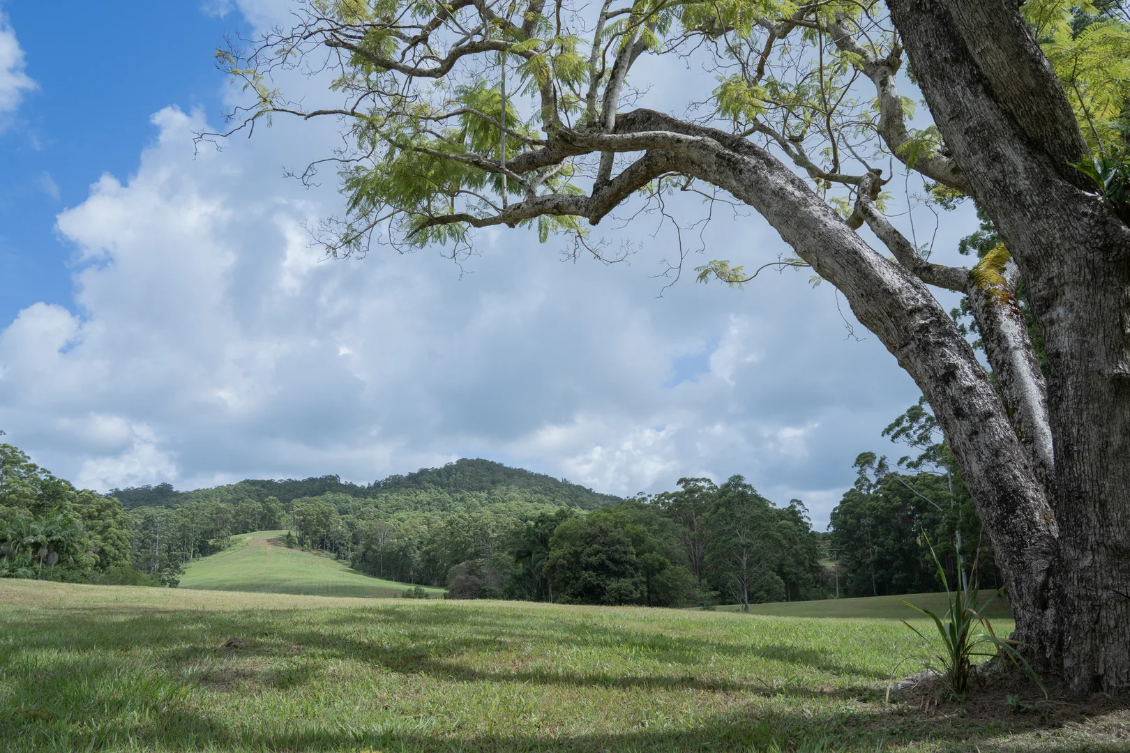 Additional image 10 of 32 Dunne Road, Glenview QLD 4553