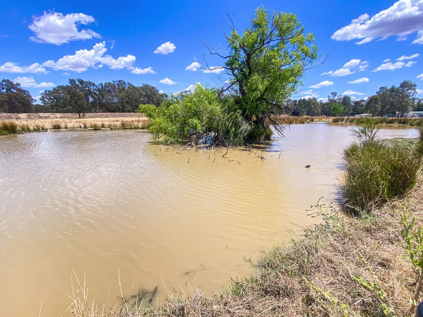 Additional image 17 of 2-16 Sugden Street, Narrandera NSW 2700