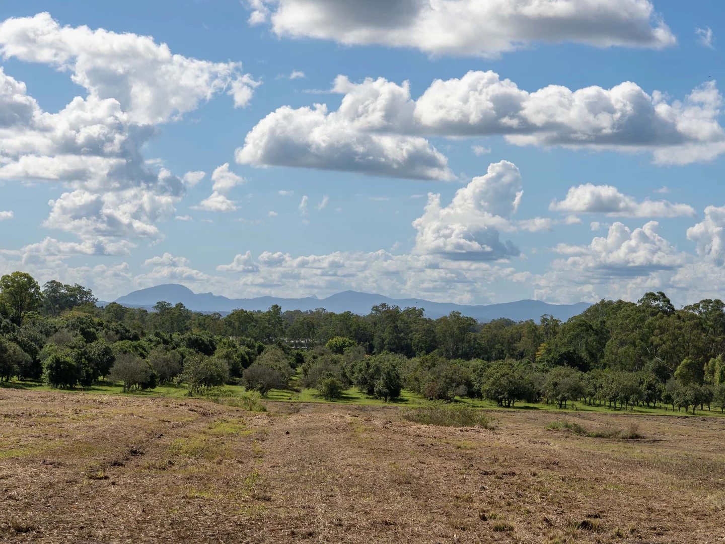 Additional image 2 of 284 Fredericks Road, Caniaba NSW 2480