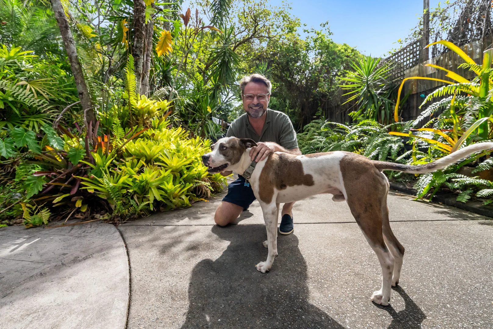 Additional image 20 of 5 Phillips Street, Machans Beach QLD 4878