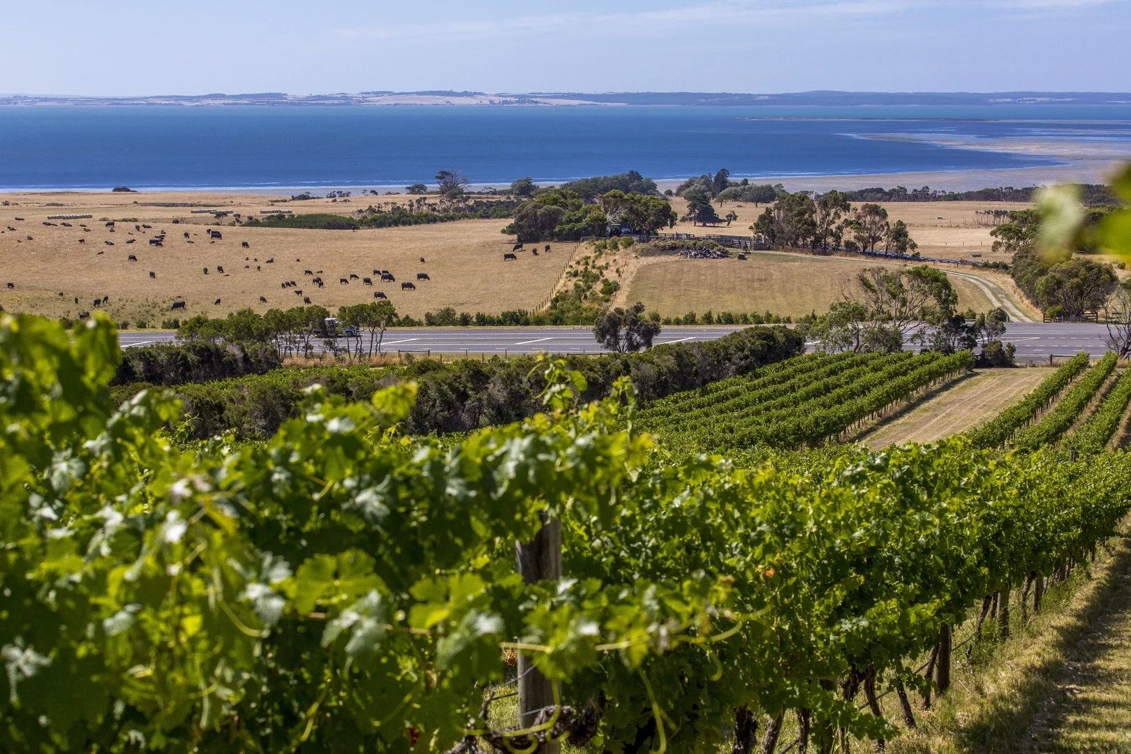 Additional image 2 of 215 Phillip Island Road, San Remo VIC 3925