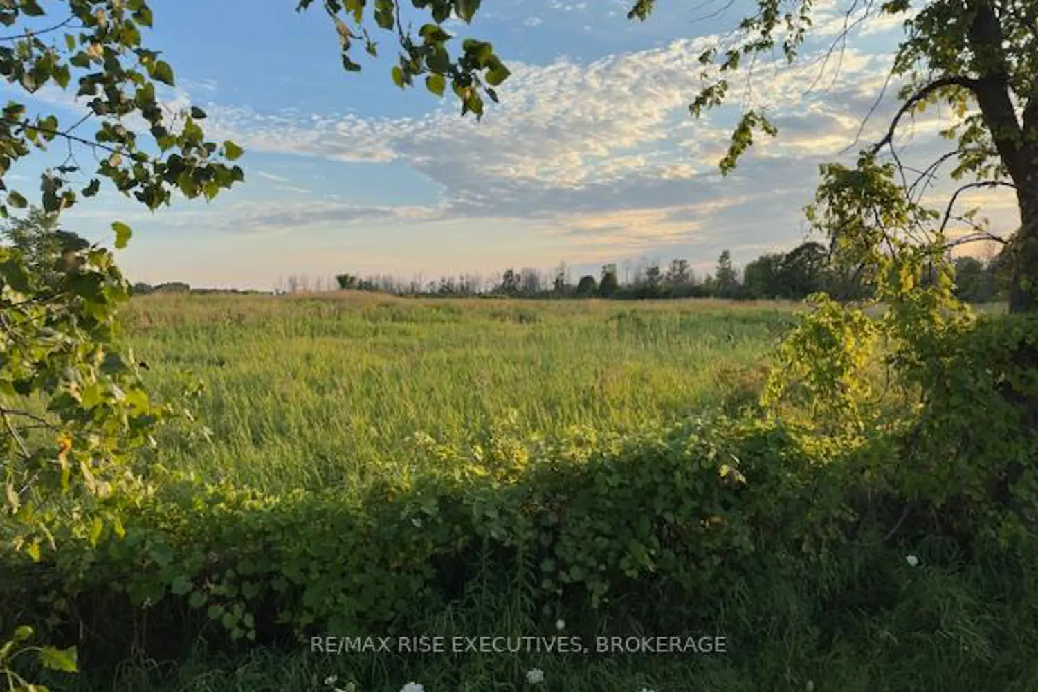 Additional image 3 of 3878 County Rd 8