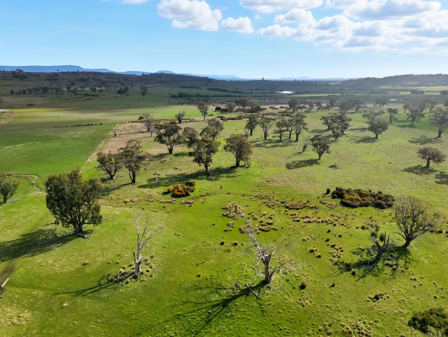 Additional image 7 of 33 Haggerston Farm Road, Perth TAS 7300