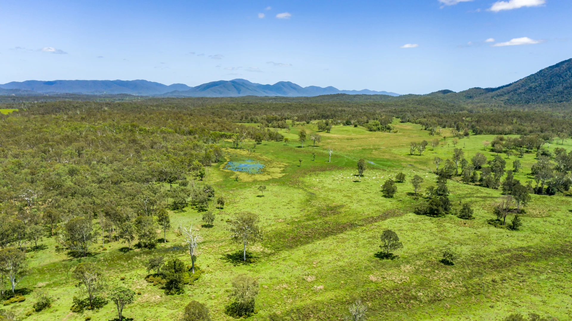 Additional image 6 of 42984 Bruce Highway, Colosseum QLD 4677