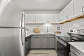 Additional image 5 of 100 Forest Pl, Oak Park, IL, 60301