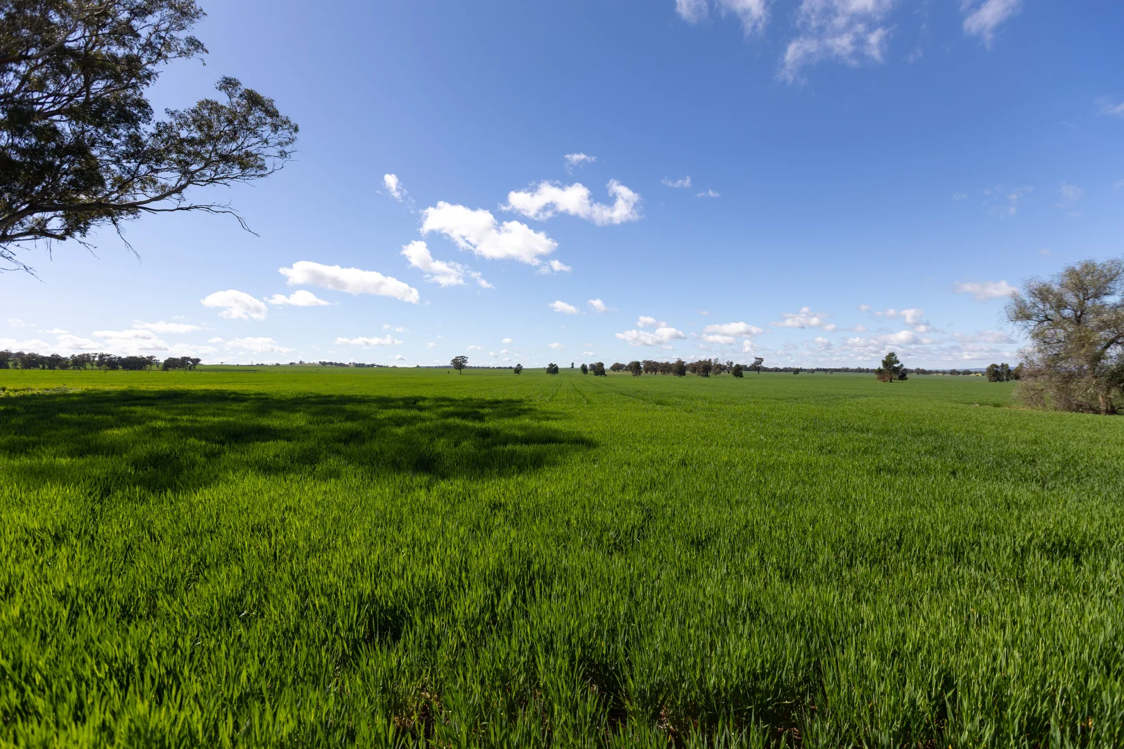 Additional image 9 of 532 Cottee Road, Currawarna NSW 2650