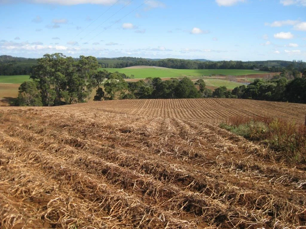 Additional image 11 of 1719 Mawbanna Road, Mawbanna TAS 7321