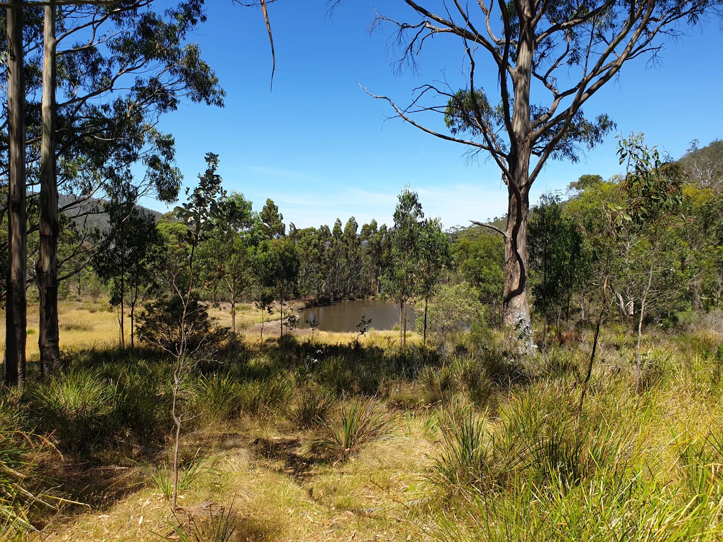 Additional image 11 of 2 - 15, Glenbrae Ris Lowes Road, Garden Island Creek TAS 7112