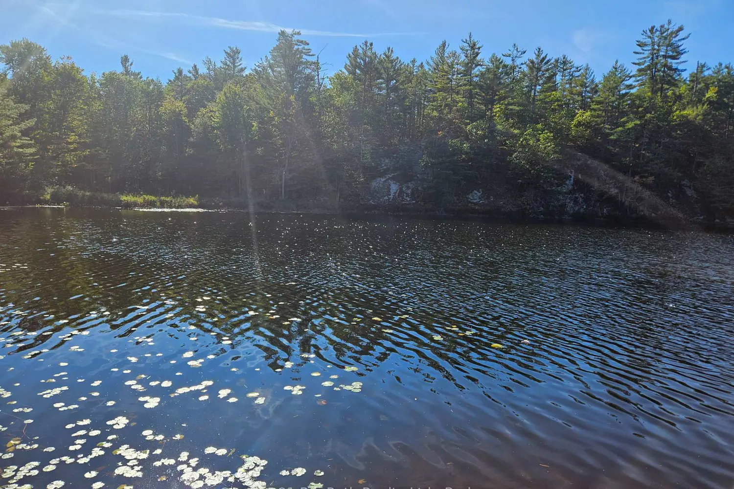 Additional image 8 of 1112 Sam Cook Road