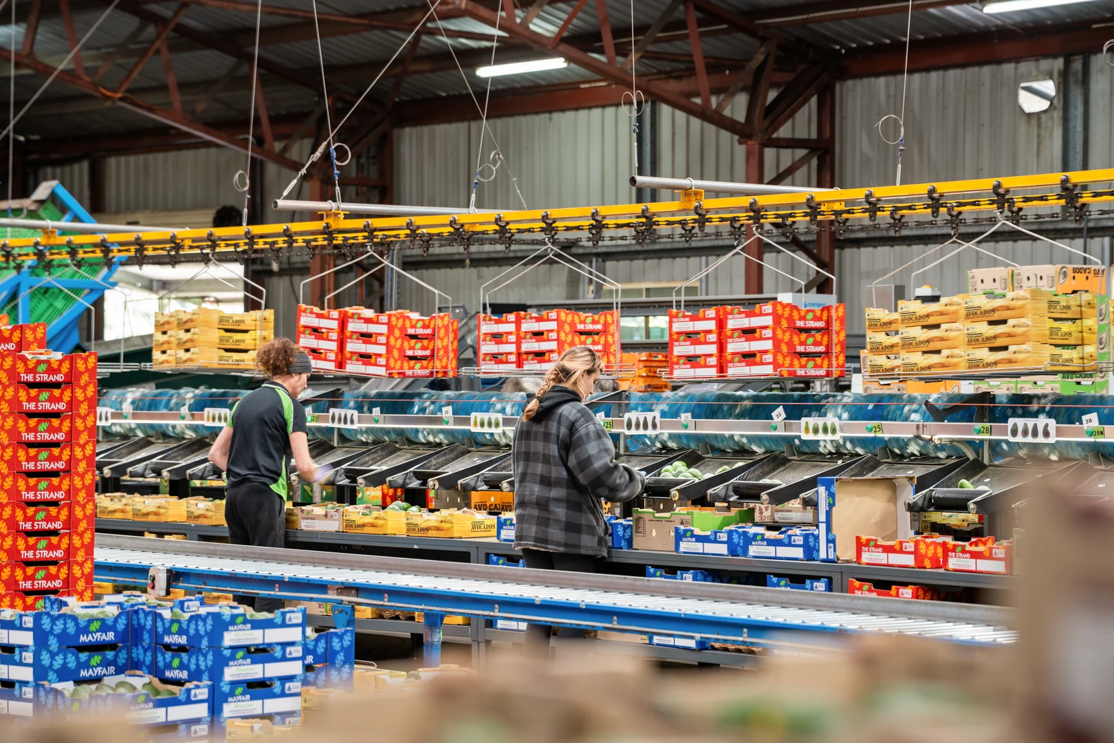 Additional image 10 of 'Ravensbourne Ridge' 45 Blanck Road, Ravensbourne QLD 4352