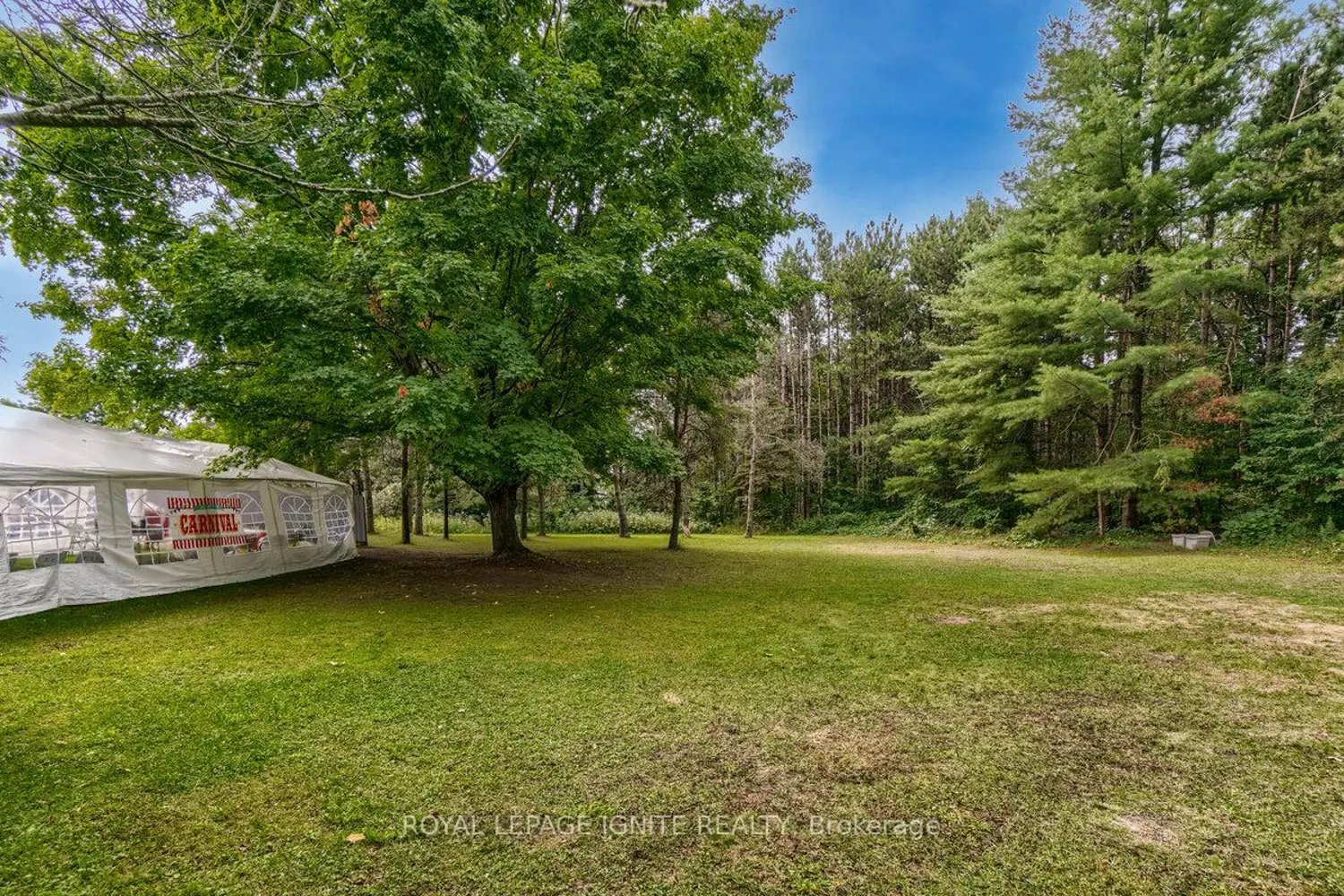 Additional image 18 of 5812 Beech Grove Side Road