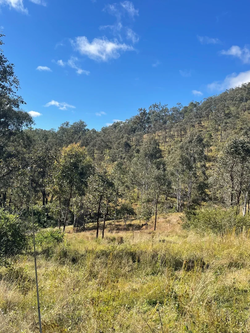 Additional image 5 of Lot 16 Gilgurry, Rivertree NSW 2372