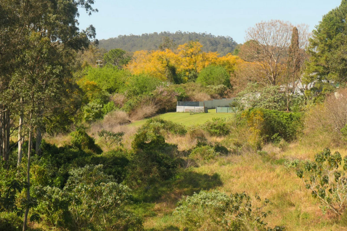 Additional image 23 of 1608 Tabulam Road, Tabulam NSW 2469