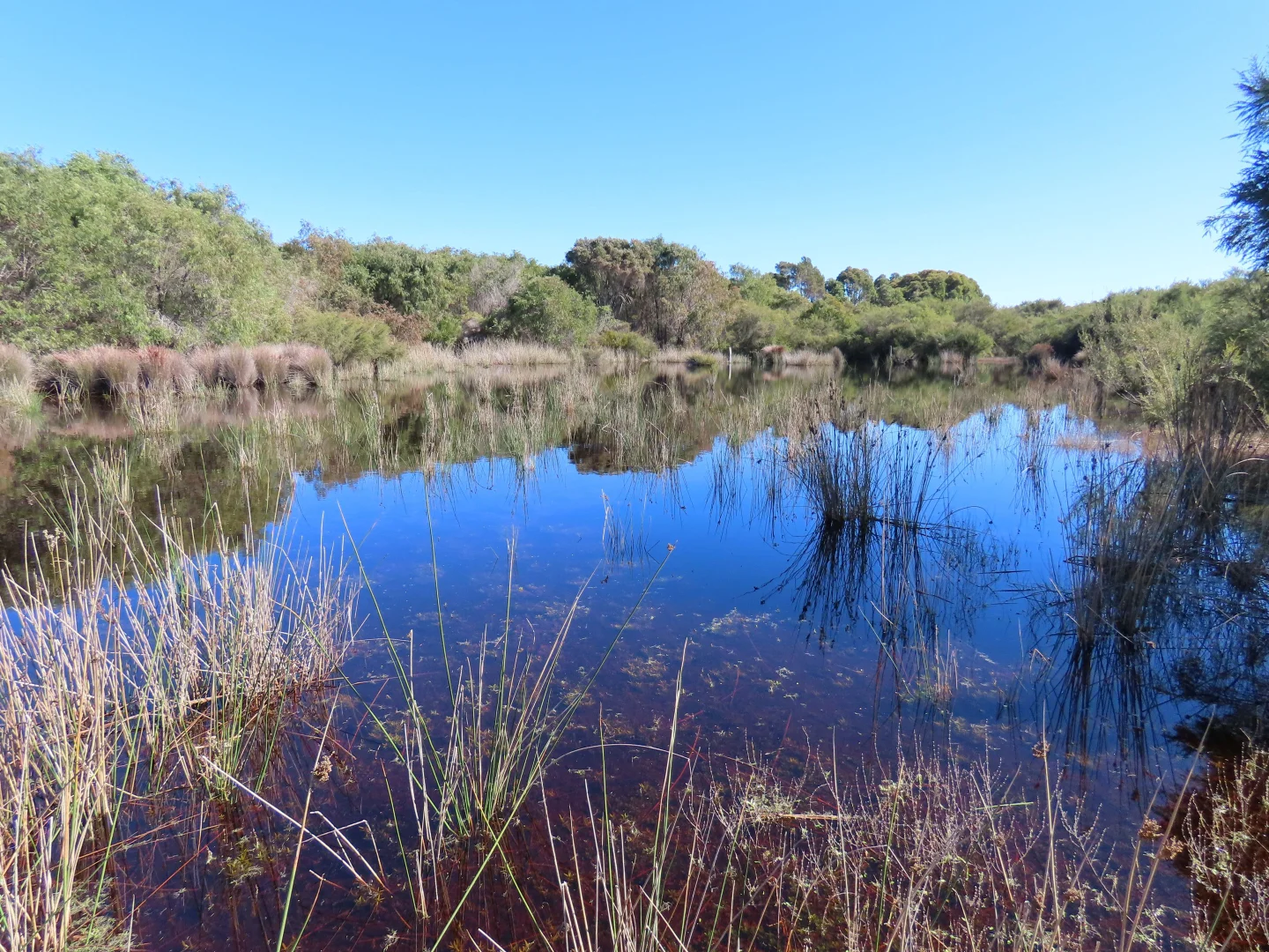 Additional image 7 of Lot 101 Jangardup Road, Lake Jasper WA 6260