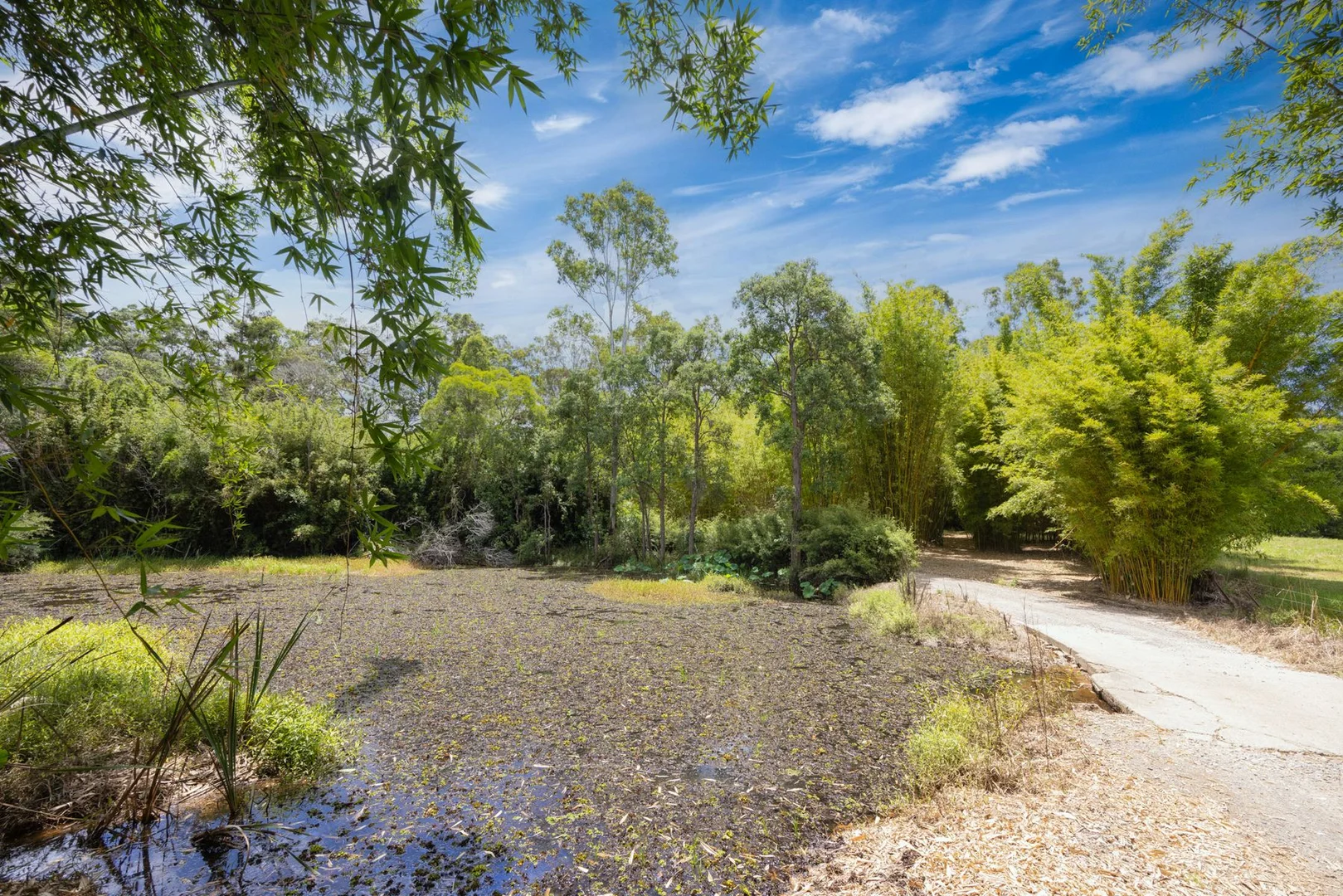 Additional image 14 of 1171 Eumundi - Kenilworth Road, Belli Park QLD 4562