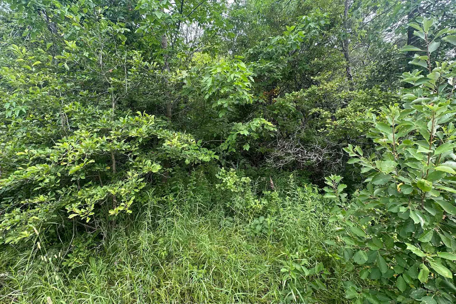 Additional image 4 of 0 Centre Line Road