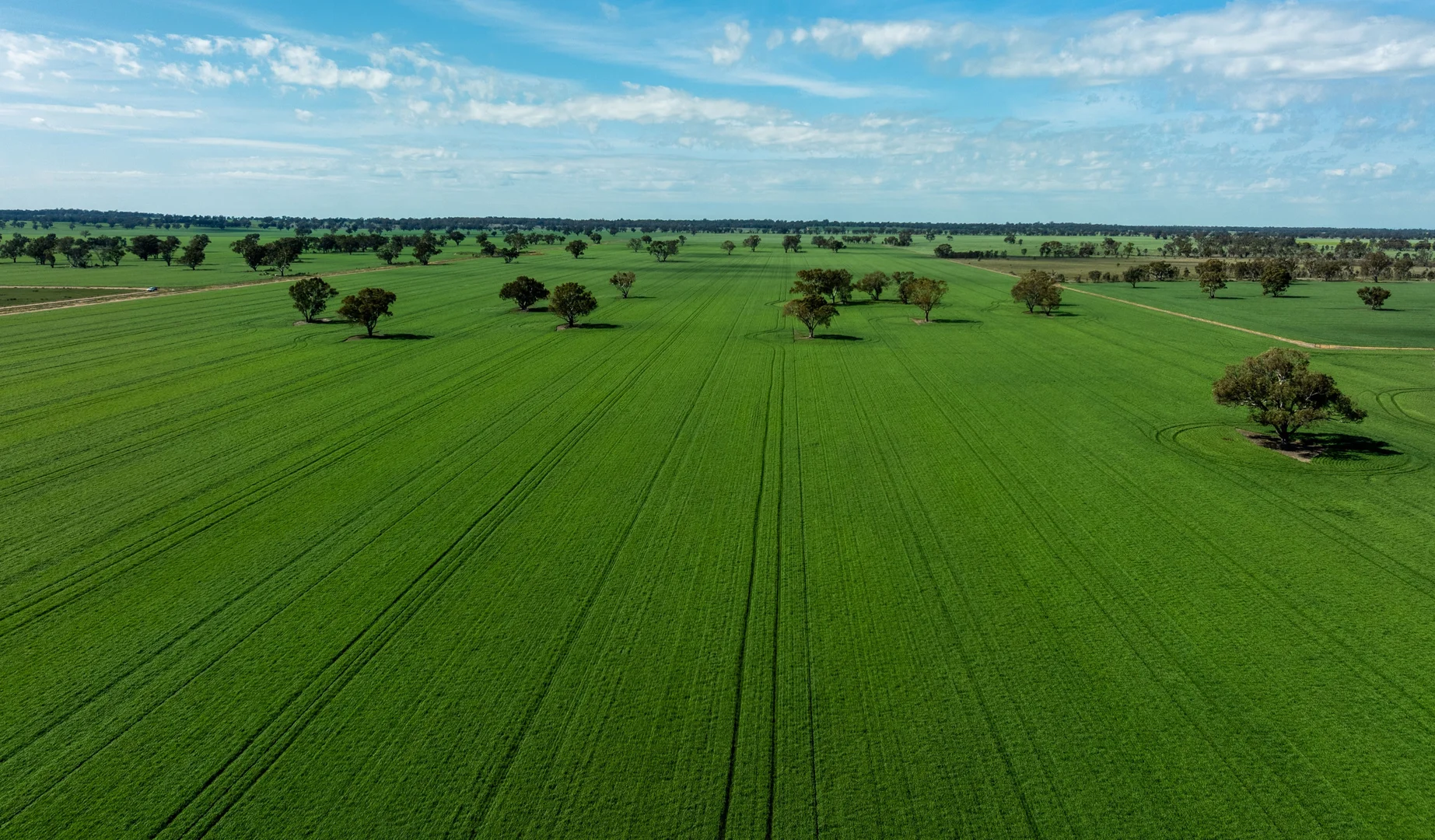 Additional image 22 of 90 Kilnyana Road, Savernake NSW 2646