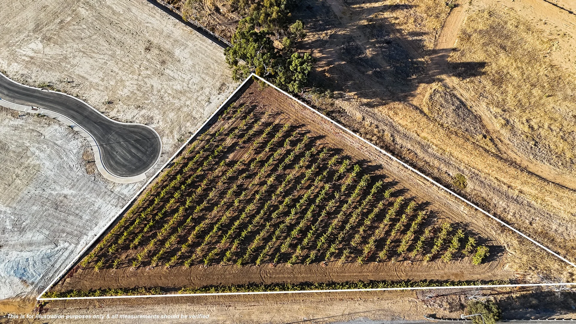 Additional image 4 of Lot/111 Sturt Highway, Nuriootpa SA 5355