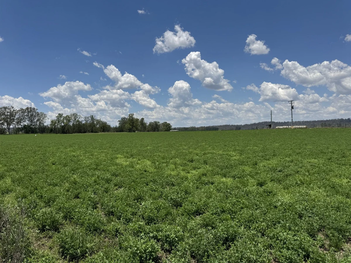 Additional image 18 of 32169 Burnett Highway, Monto QLD 4630