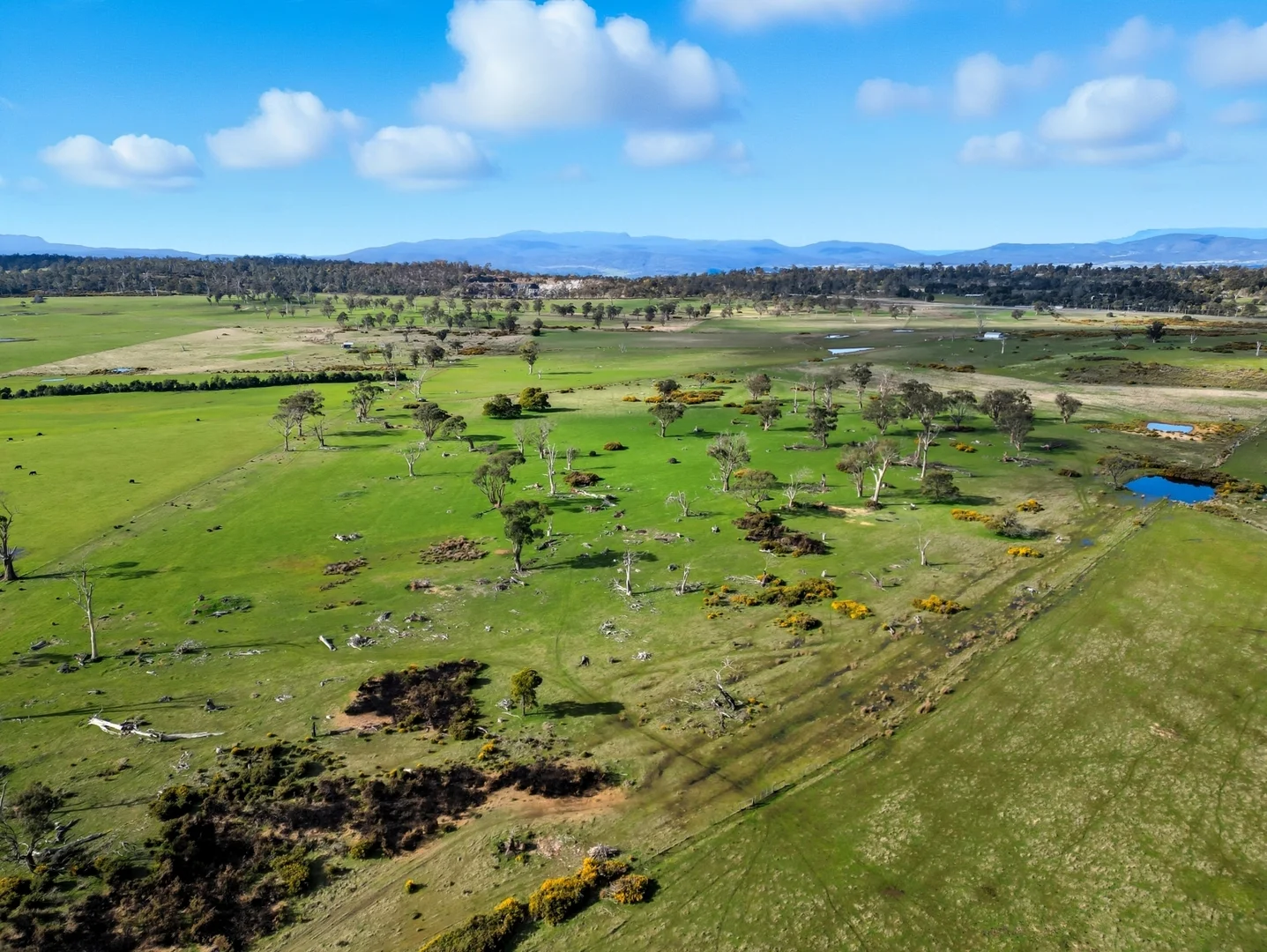 Additional image 25 of 33 Haggerston Farm Road, Perth TAS 7300