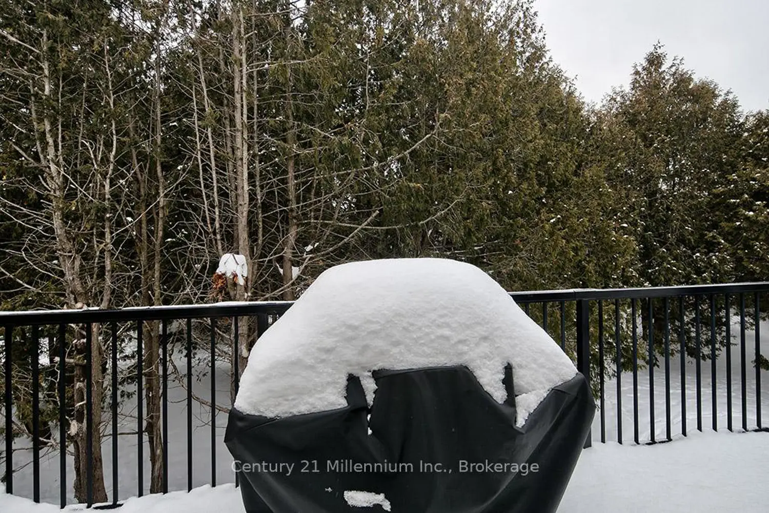 Additional image 10 of 479 Oxbow Crescent