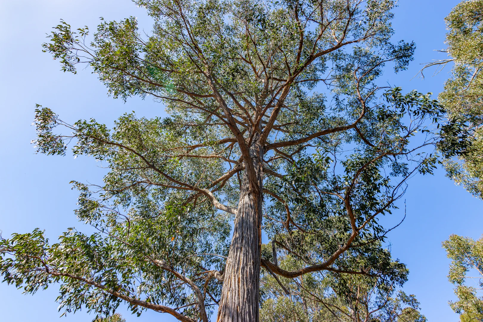 Additional image 9 of 287 Esperance Coast Road, Brooks Bay TAS 7116
