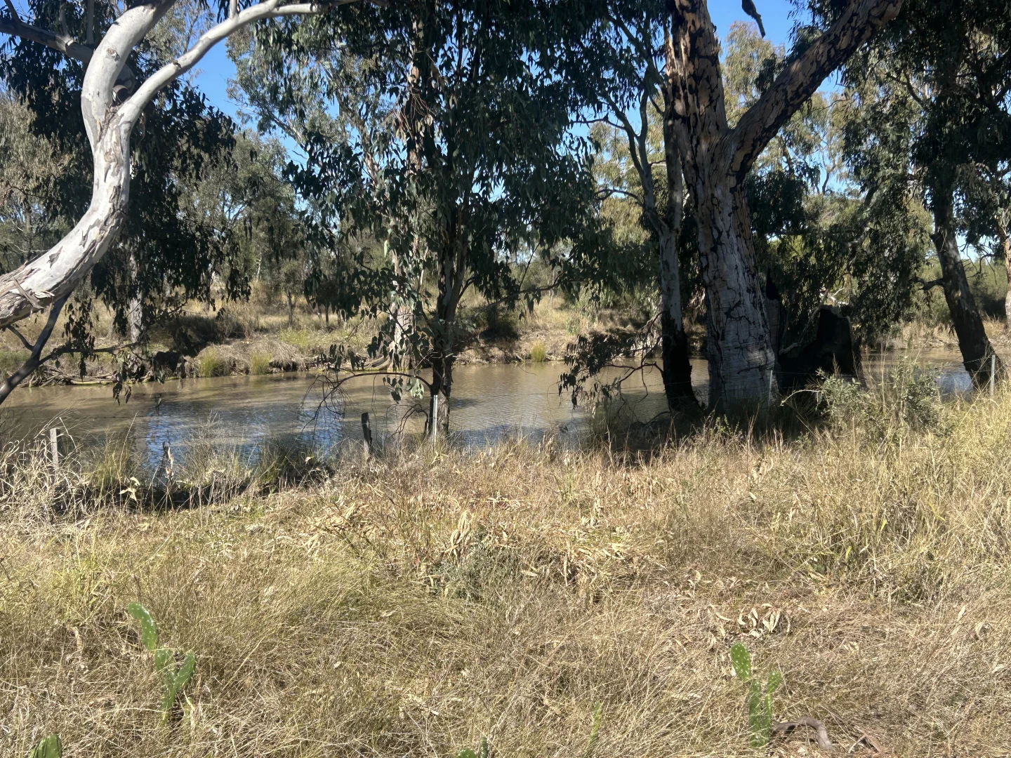 Additional image 27 of 4921 Meandarra Condamine Road, Meandarra QLD 4422