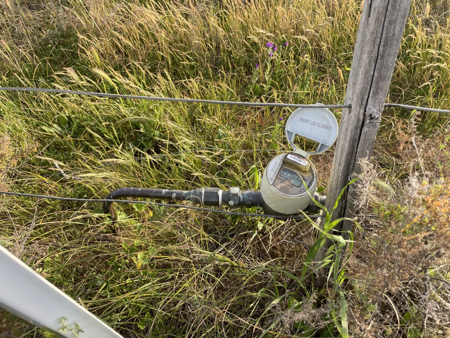 Additional image 27 of 'Yileen' 4371 Moulamein Road, Tullakool NSW 2732