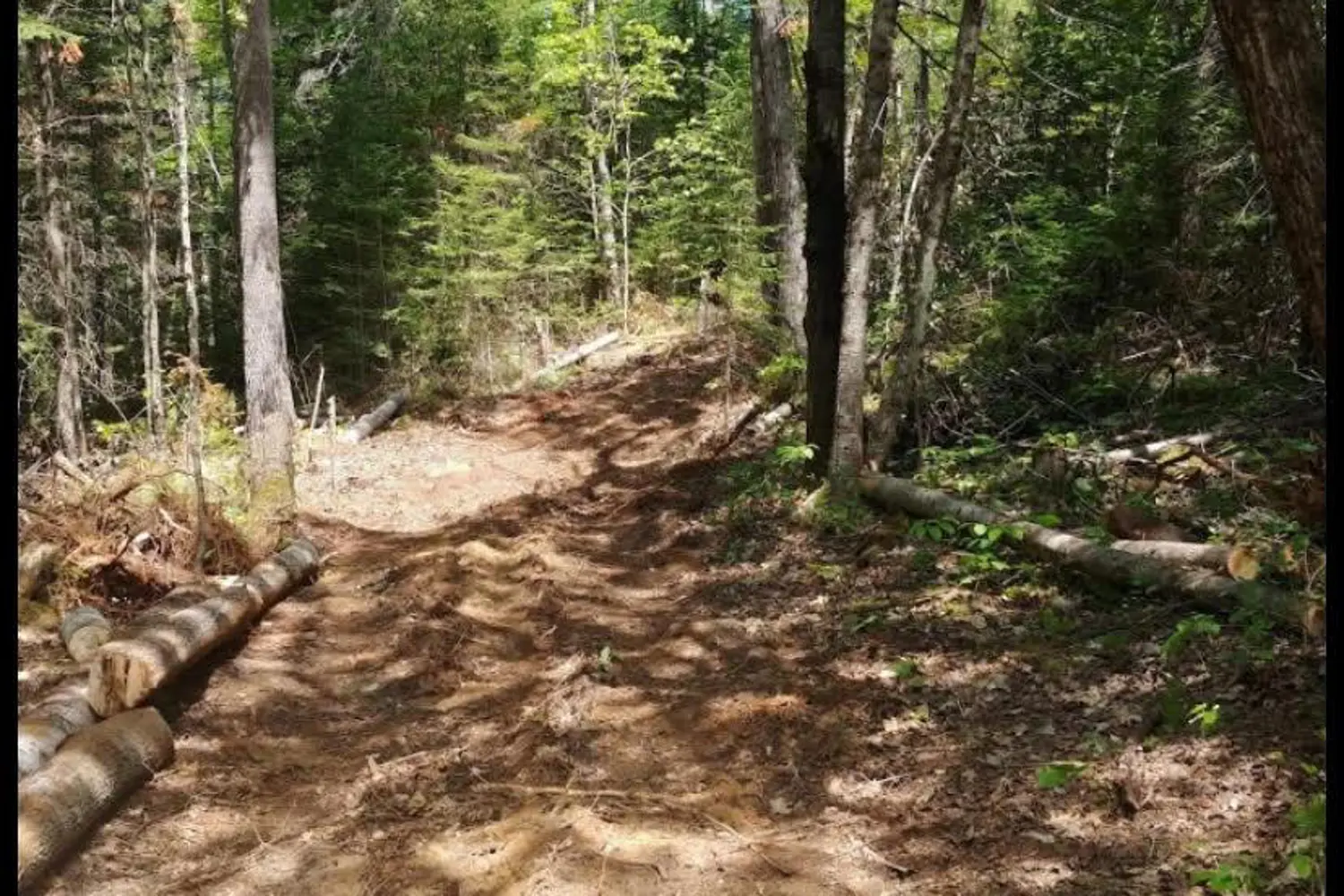 Additional image 15 of 1678 Locksley Road