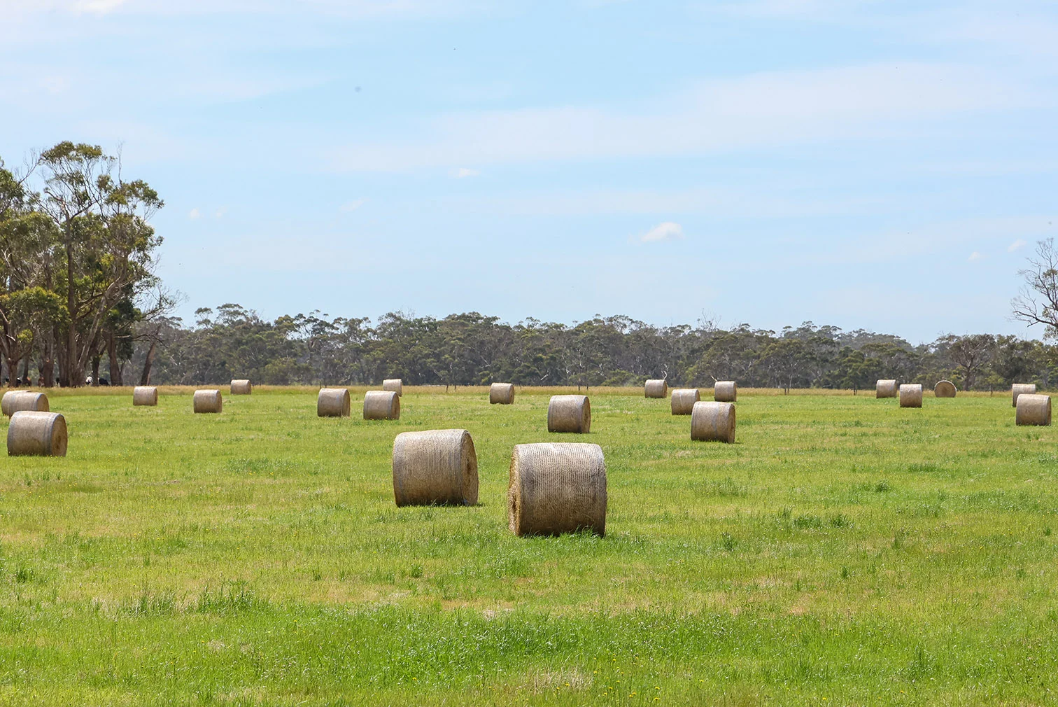 Additional image 10 of 211 Rollos Road, Panmure VIC 3265