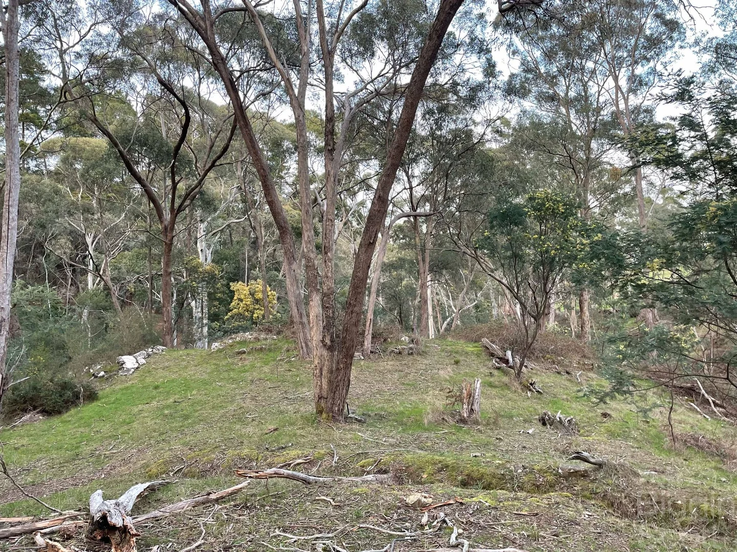 Additional image 4 of 210 & 230 Mannings Road, Dry Diggings VIC 3461